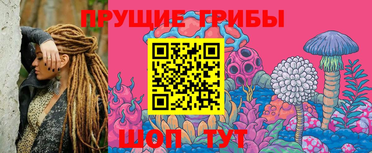 Галлюциногенные грибы прущие грибы  Вход с VPN  Вольск  Галлюциногенные грибы прущие грибы 