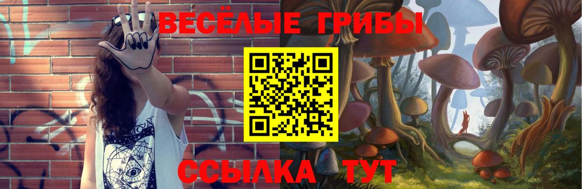 Галлюциногенные грибы ЛСД Вольск